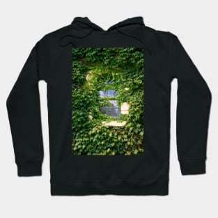 Ivy covered window Hoodie